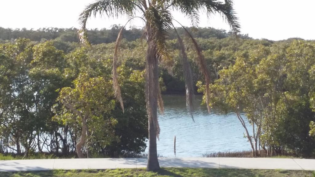 Manning Point Harrington Village Motel חדר תמונה